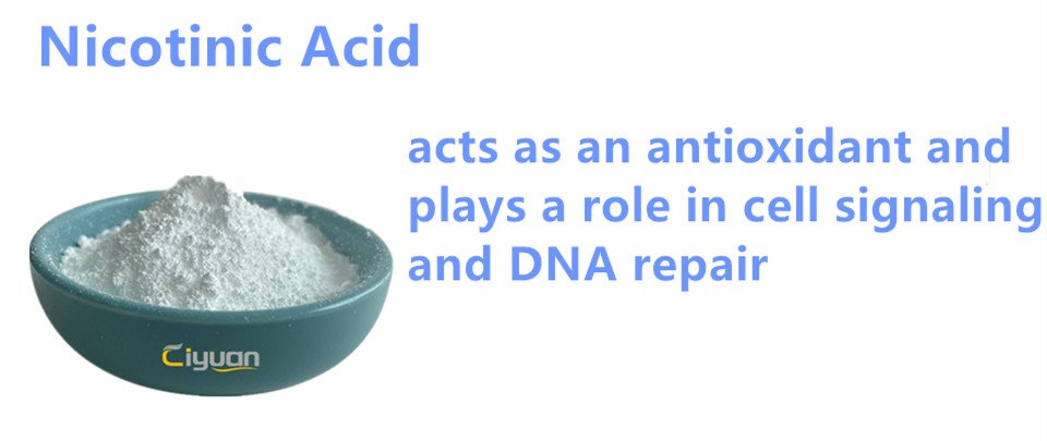 Nicotinic Acid.png